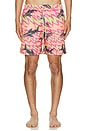 view 5 of 5 Frenzy Classic Swim Trunks in Pink