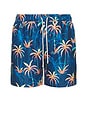 view 1 of 5 Wilder Classic Swim Trunks in Navy