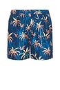 view 2 of 5 Wilder Classic Swim Trunks in Navy