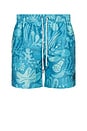view 1 of 5 Runner Classic Swim Trunks in Blue