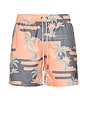 view 1 of 6 Sol Dias Classic Swim Trunks in Sunset