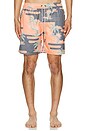 view 5 of 6 Sol Dias Classic Swim Trunks in Sunset