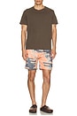 view 6 of 6 Sol Dias Classic Swim Trunks in Sunset