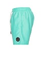view 3 of 5 Party On Classic Swim Trunks in Mint