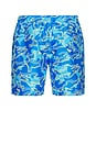 view 2 of 5 Bad Fish Classic Swim Trunks in Blue