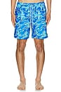 view 5 of 5 Bad Fish Classic Swim Trunks in Blue