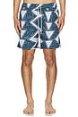 view 5 of 5 Coaster Classic Swim Trunks in Charcoal