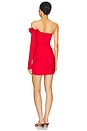 view 4 of 4 Selvaggio Mini Dress in Red