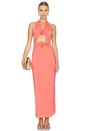 view 1 of 3 Vaupes Dress in Tropical Pink