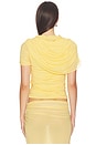 view 3 of 4 Eterea Top in Ambar