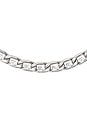 view 2 of 2 Chain Link Necklace in Silver