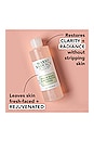 view 4 of 6 Witch Hazel & Rosewater Toner in 