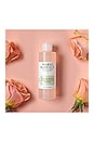 view 6 of 6 Witch Hazel & Rosewater Toner in 