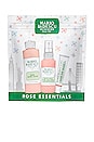 view 3 of 4 Rose Essentials Trio in 