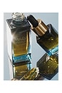 view 7 of 10 Evening Primrose + Green Tea Algae Retinol Face Oil 15ml in 