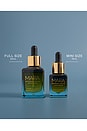 view 10 of 12 Algae + Moringa Universal Face Oil in 
