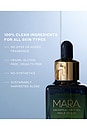 view 9 of 12 Algae + Moringa Universal Face Oil in 