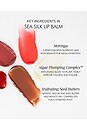 view 8 of 8 Sea Silk Lip Balm in Sea Latte