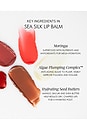 view 8 of 8 Sea Silk Lip Balm in Toasty Rouge
