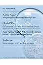 view 9 of 12 Aura Cleanse Foaming Gel Cleanser in 