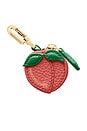 view 1 of 6 Sabrémoj Fruit Charm in Peach