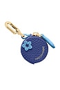 view 1 of 6 Sabrémoji Fruit Charm in Blueberry