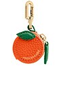 view 1 of 6 Sabrémoji Fruit Charm in Orange Charm