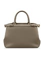 view 2 of 2 Palais Medium Bag in Cashmere Clay