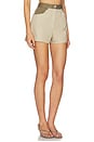 view 2 of 6 High-waist Combo Hot Short in Taupe