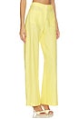 view 2 of 6 Pleated Barrel Button Pocket Pant in Yellow