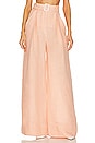 view 1 of 4 Wide Leg Pleated Pant in Peach