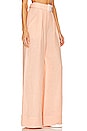 view 2 of 4 Wide Leg Pleated Pant in Peach