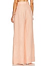 view 3 of 4 Wide Leg Pleated Pant in Peach