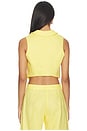 view 3 of 4 Collared V-neck Vest in Yellow Linen