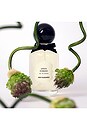 view 3 of 3 Green Ribbons Eau De Parfum in 
