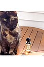 view 4 of 4 Petal Rebel Eau De Parfum in 