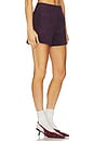 view 2 of 6 Bianca Short in Maroon