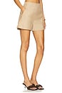 view 2 of 6 Ren Shorts in Tan