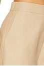view 6 of 6 Ren Shorts in Tan