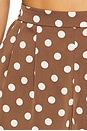 view 6 of 6 Parker Shorts in Brown Dots