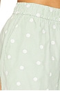 view 6 of 6 Flynn Shorts in Light Green Embroided Dots