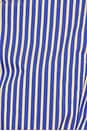 view 5 of 5 Hadley Shirt in Blue Stripe