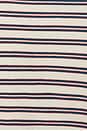 view 5 of 5 Frankie Top in White Navy Stripe