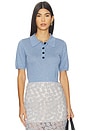 view 1 of 4 Darcy Polo Top in Light Blue