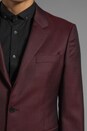 view 6 of 7 Classic Fitted Blazer in Ox Blood