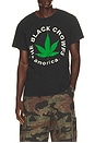 view 1 of 4 Black Crowes 90s Tee in Coal