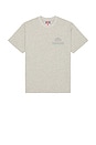 view 4 of 4 King Of The Greens T-Shirt in Heather Grey