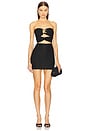 view 1 of 3 x REVOLVE Ingrid Mini Dress in Black