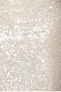 view 4 of 4 x REVOLVE Lucie Gown in Champagne
