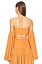 view 3 of 4 x REVOLVE Blair Crop Top in Cumin Brown